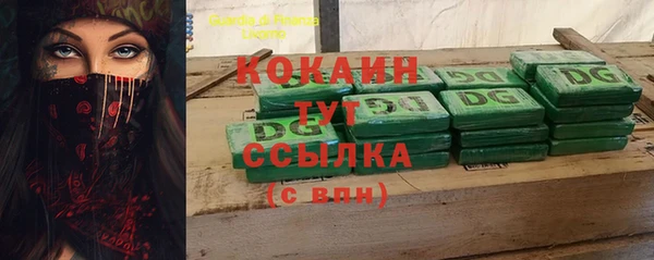 мдпв Козловка