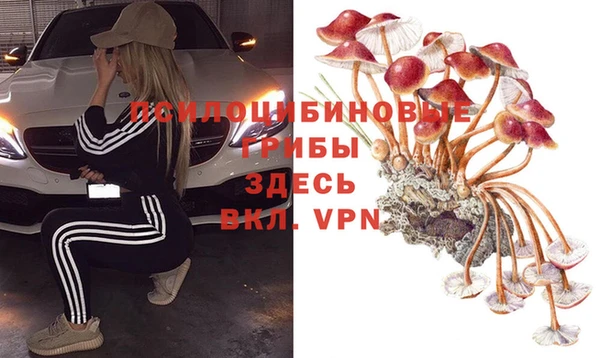 мдпв Козловка