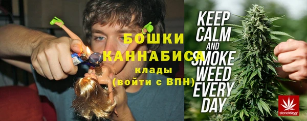 мдпв Козловка