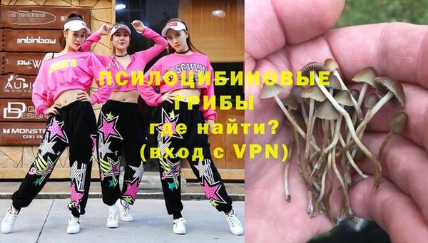 мдпв Козловка